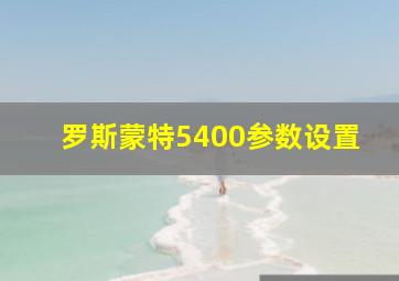 罗斯蒙特5400参数设置