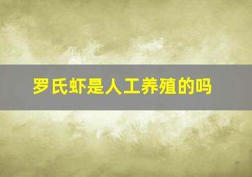 罗氏虾是人工养殖的吗