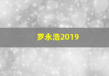 罗永浩2019