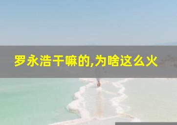 罗永浩干嘛的,为啥这么火