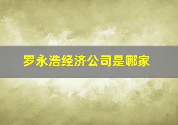 罗永浩经济公司是哪家