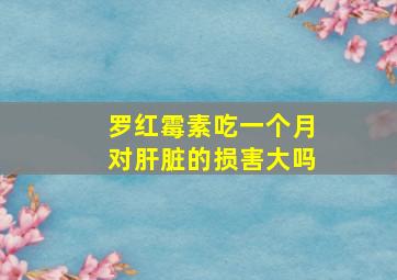 罗红霉素吃一个月对肝脏的损害大吗