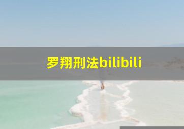 罗翔刑法bilibili