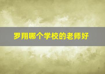 罗翔哪个学校的老师好