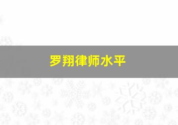 罗翔律师水平