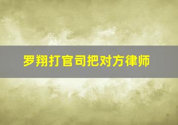 罗翔打官司把对方律师