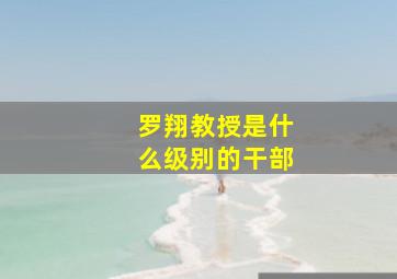 罗翔教授是什么级别的干部