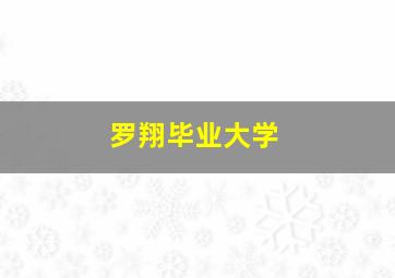 罗翔毕业大学