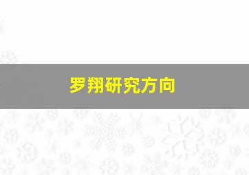 罗翔研究方向