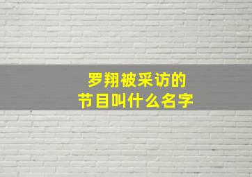 罗翔被采访的节目叫什么名字