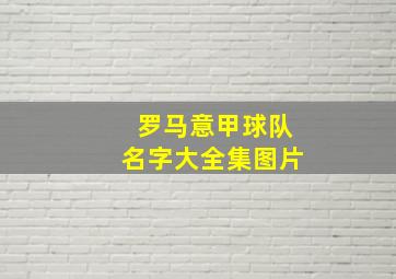 罗马意甲球队名字大全集图片