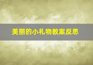 美丽的小礼物教案反思