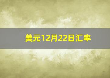 美元12月22日汇率