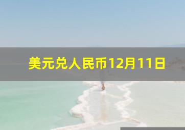 美元兑人民币12月11日