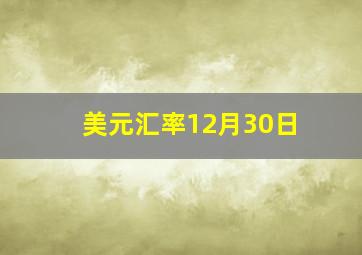 美元汇率12月30日