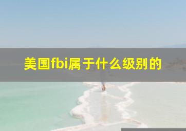 美国fbi属于什么级别的