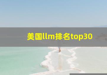 美国llm排名top30