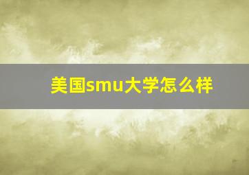 美国smu大学怎么样