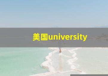 美国university