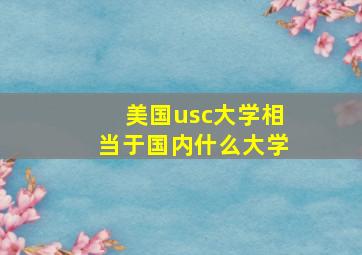 美国usc大学相当于国内什么大学