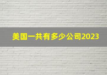 美国一共有多少公司2023