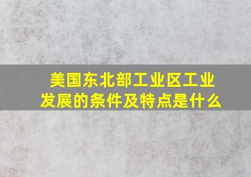 美国东北部工业区工业发展的条件及特点是什么