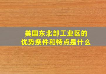 美国东北部工业区的优势条件和特点是什么