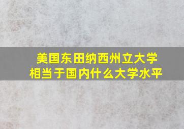 美国东田纳西州立大学相当于国内什么大学水平