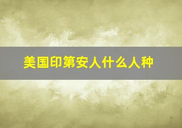 美国印第安人什么人种