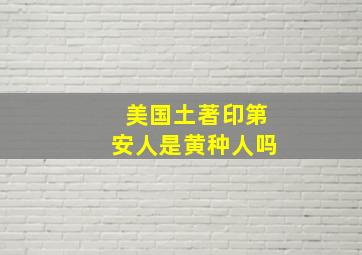 美国土著印第安人是黄种人吗