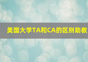 美国大学TA和CA的区别助教