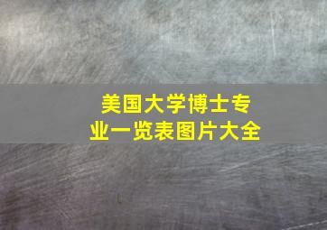 美国大学博士专业一览表图片大全