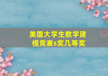 美国大学生数学建模竞赛s奖几等奖