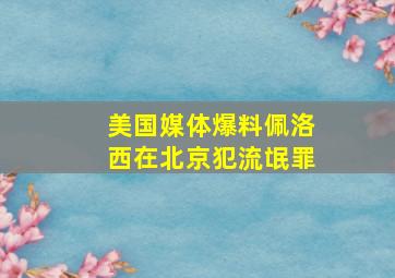 美国媒体爆料佩洛西在北京犯流氓罪