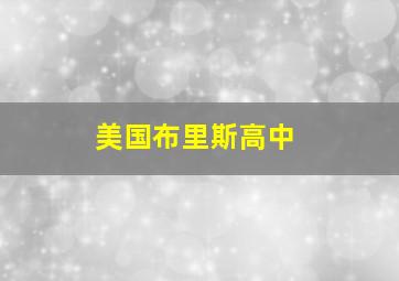 美国布里斯高中