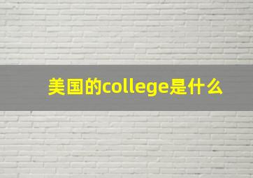 美国的college是什么