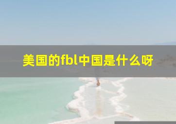 美国的fbl中国是什么呀