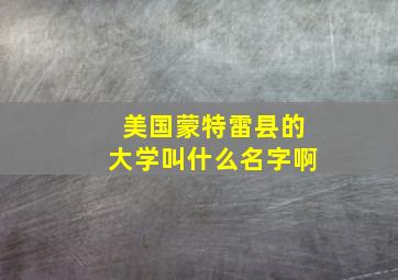 美国蒙特雷县的大学叫什么名字啊