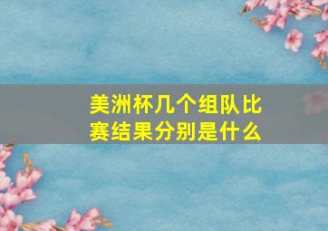 美洲杯几个组队比赛结果分别是什么