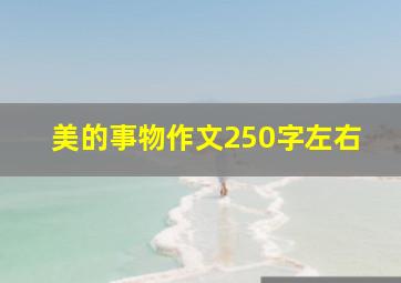 美的事物作文250字左右