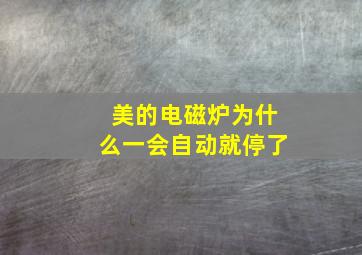 美的电磁炉为什么一会自动就停了