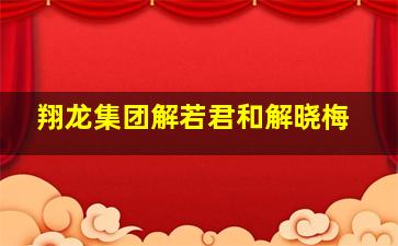 翔龙集团解若君和解晓梅