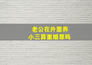 老公在外面养小三算重婚罪吗