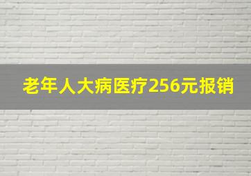 老年人大病医疗256元报销