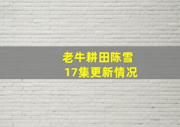 老牛耕田陈雪17集更新情况