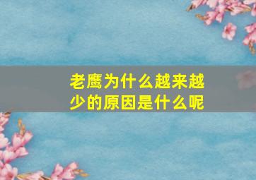 老鹰为什么越来越少的原因是什么呢