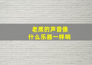 老鹰的声音像什么乐器一样响