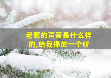 老鹰的声音是什么样的,给我播放一个听