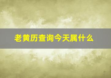 老黄历查询今天属什么