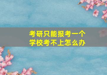 考研只能报考一个学校考不上怎么办